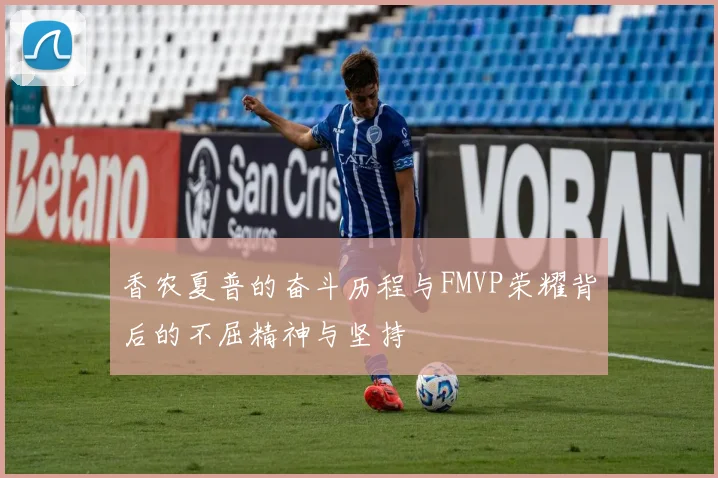 香农夏普的奋斗历程与FMVP荣耀背后的不屈精神与坚持