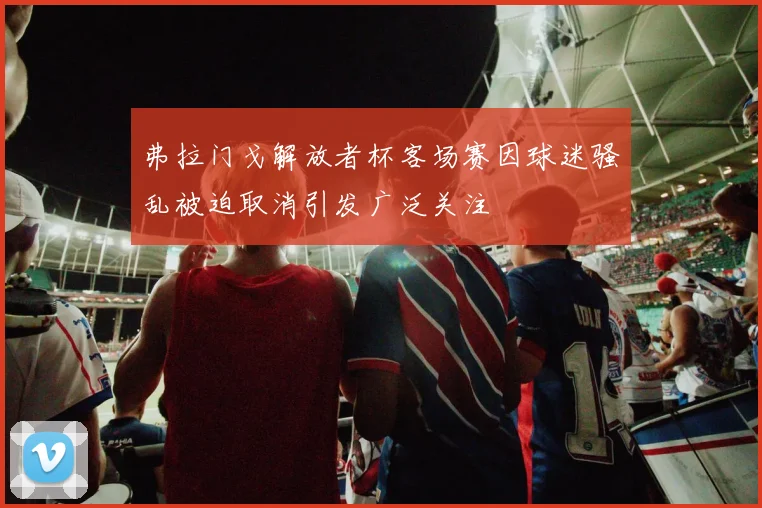 弗拉门戈解放者杯客场赛因球迷骚乱被迫取消引发广泛关注